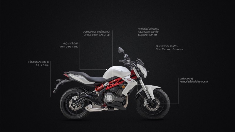 Benelli TNT 300 S